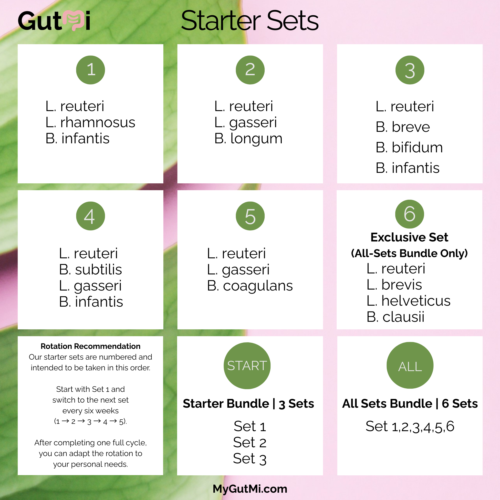 GutMi | L. reuteri + B. subtilis + L. gasseri + B. infantis | Yogurt Starter Set | SIBO Stable | Starter Cultures | Pack of 3