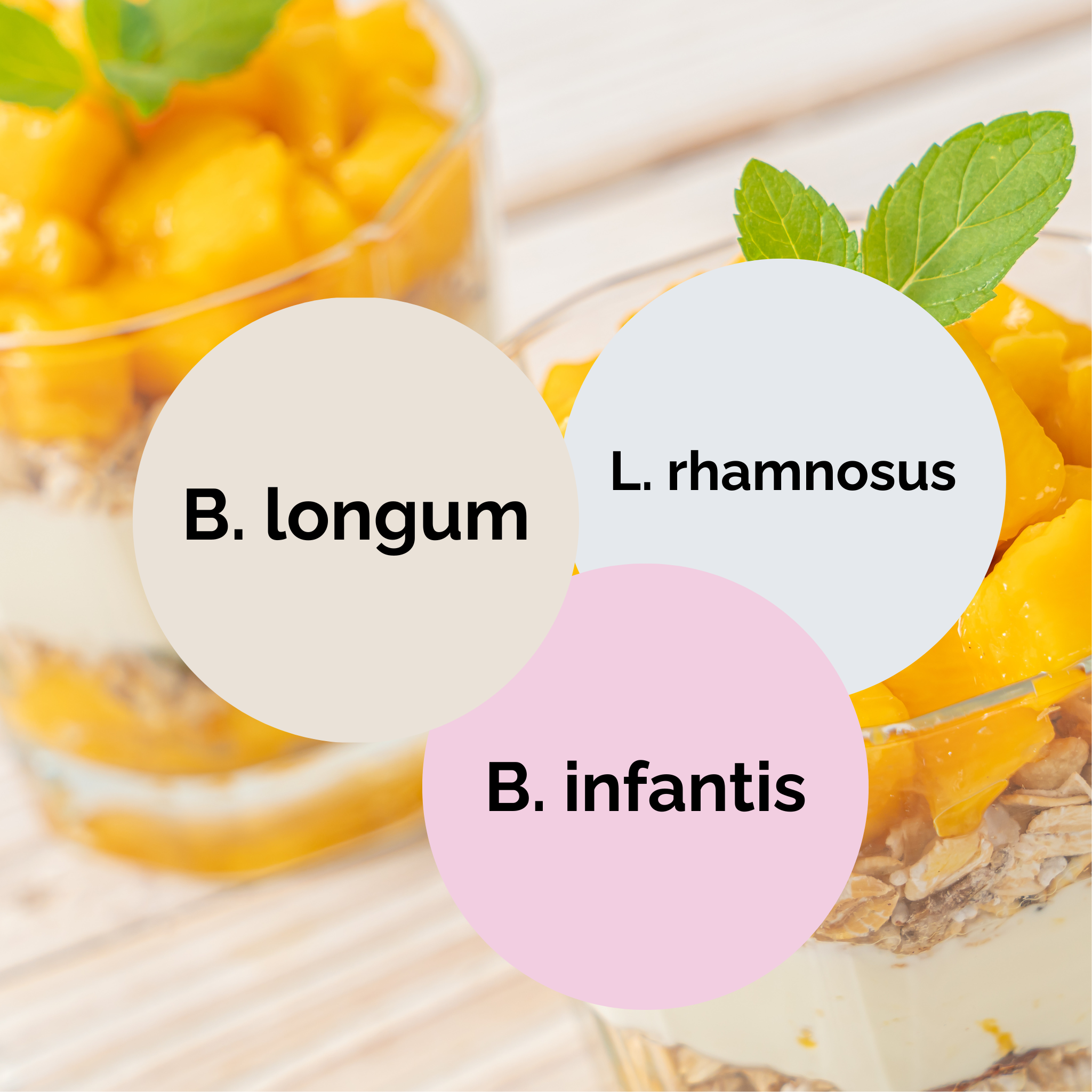 L. rhamnosus + B. infantis + B. longum | Set Starter Yogurt | Colture Starter | Confezione da 3